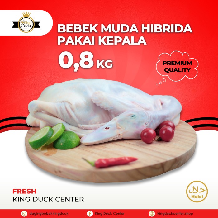

DAGING BEBEK HIBRIDA 0,8 KG PAKAI KEPALA