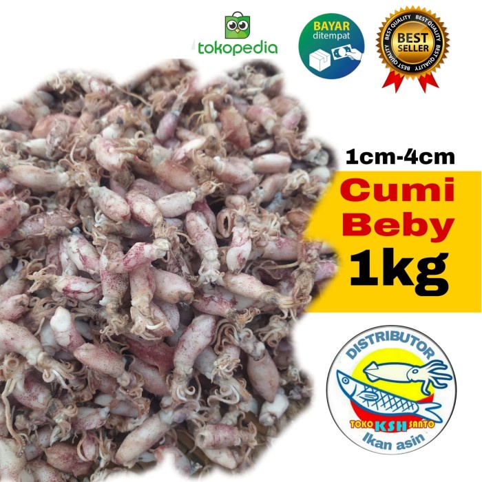 

ikan asin Beby cumi-1kg