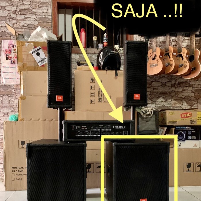 PREMIUM Subwoofer pasif 12 inch karaoke home theater