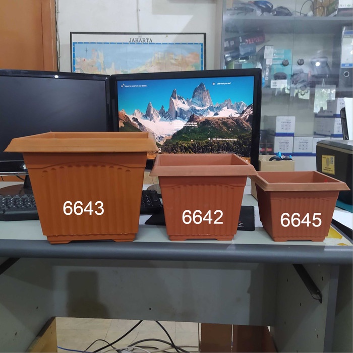  Pot Bunga Petak Friend Tulip Series Plastik Coklat 6643 (Besar)