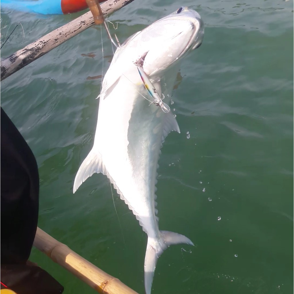 Minnow Zamve Arya Umpan Pancing Lure Minnow Sinking