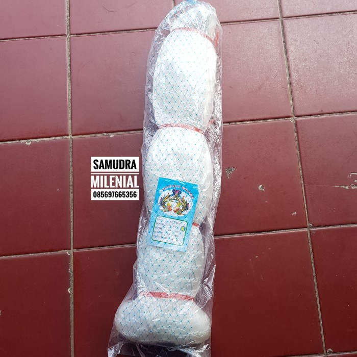 Product Laris Jaring Ikan 0,25 1 Inch 70X80 Tate