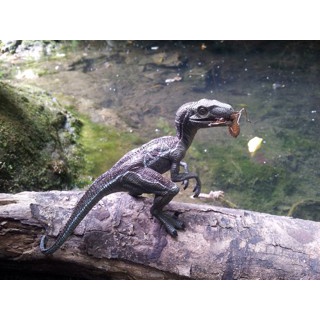 Papo Velociraptor