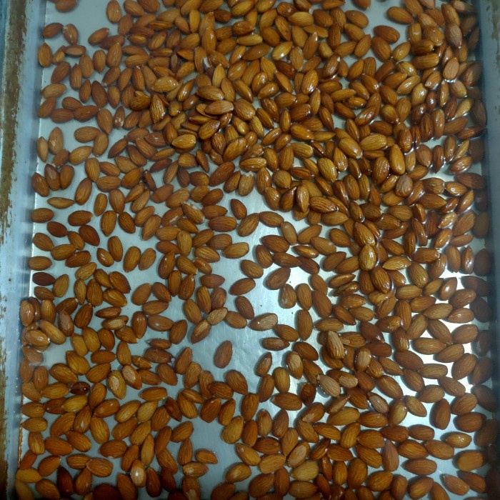 

250gr Activated Almond- Aktivasi Kacang Almond - Matang - Siap Makan