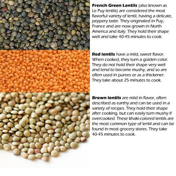 

Lentil Coklat (Brown Lentils) 1 Kg