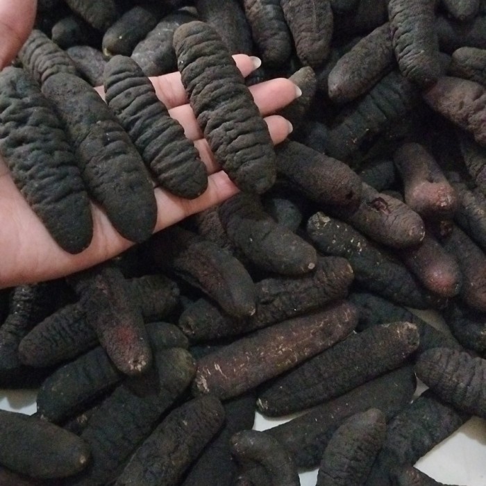 

teripang kering/haisom kering/haisen/gosok/belitung isi 40-50ekor/1kg