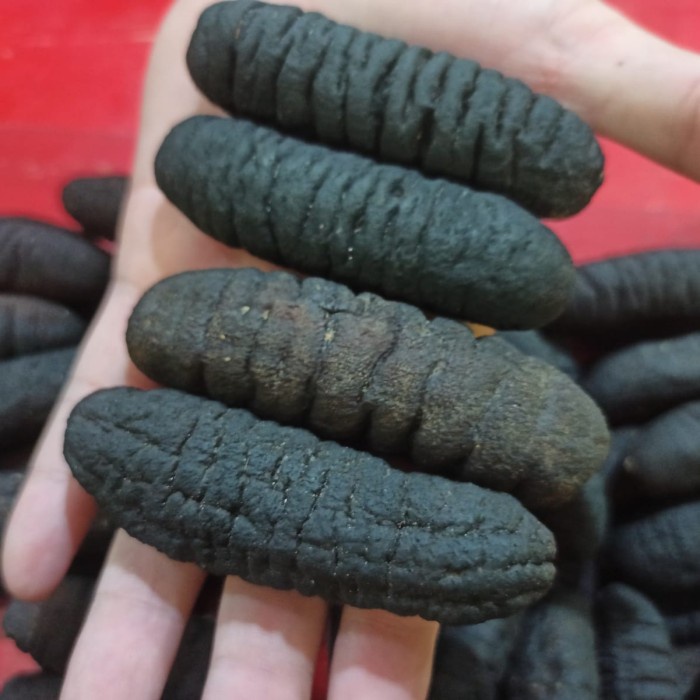 teripang kering/ haisom kering/gosok/belitung size 40ekor dalam 500gr