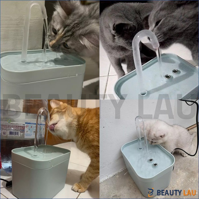 WATER FOUNTAIN KUCING DISPENSER KUCING TEMPAT MINUM KUCING AIR MANCUR