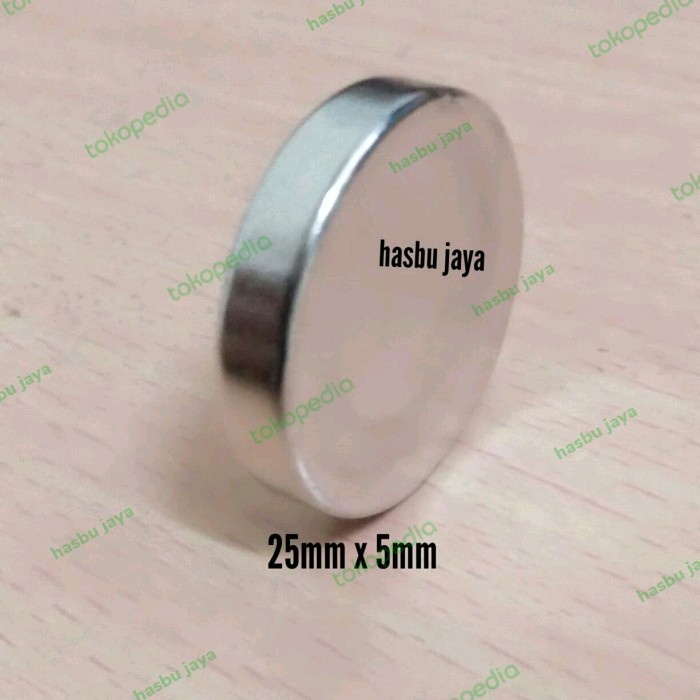 MAGNET 25MM X 5MM NEODYMIUM KOIN BULAT