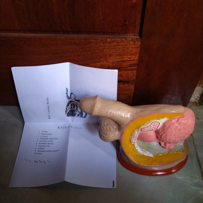 BISA GOSEND MODEL KATETER MANEKIN PRIA