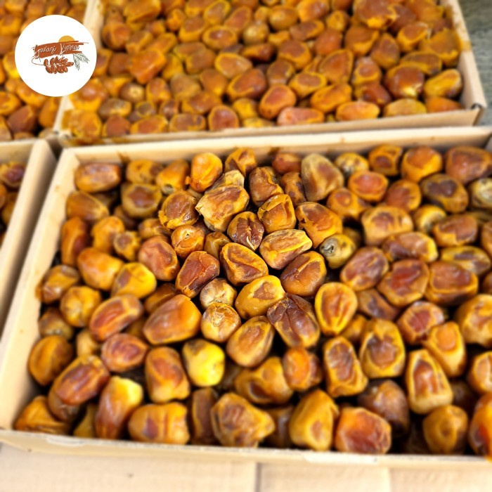 

Kurma Sukari Al Qassim 3 Kg