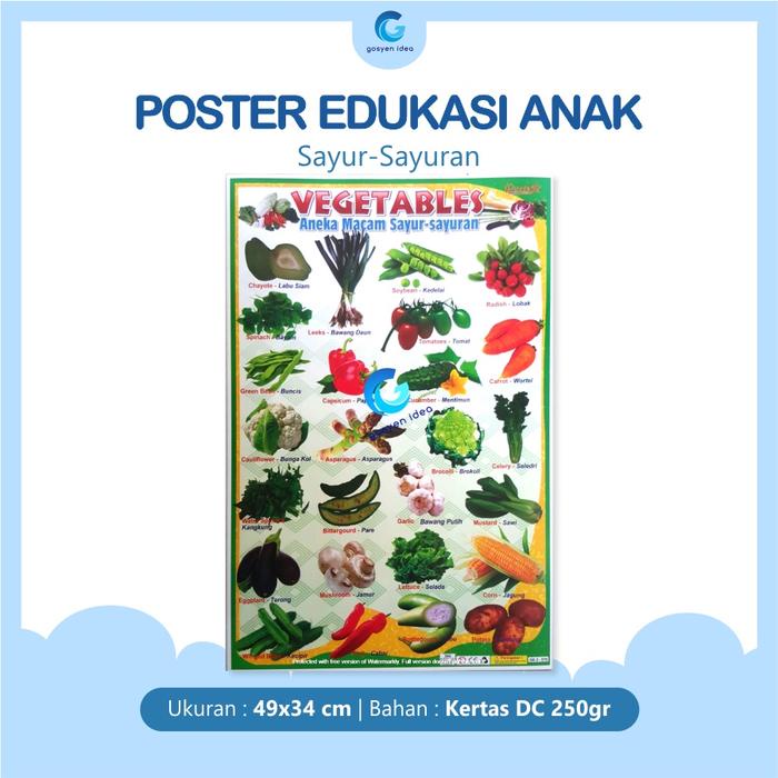 

Poster Pendidikan Edukasi Anak Belajar Vegetables Sayur Sayuran