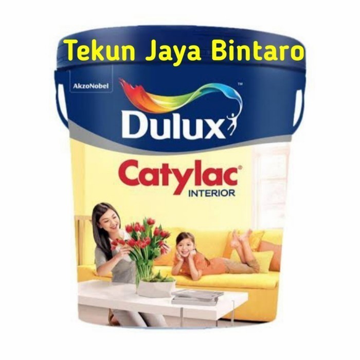 Dulux Catylac Interior Aviator Silver 5Kg Gallon Tinting Css