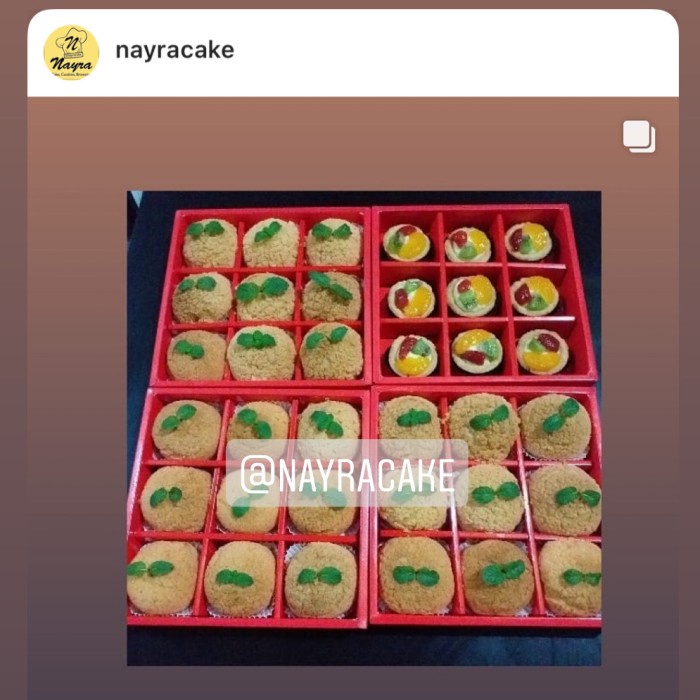 

party- Box Nastar Plus Sekat