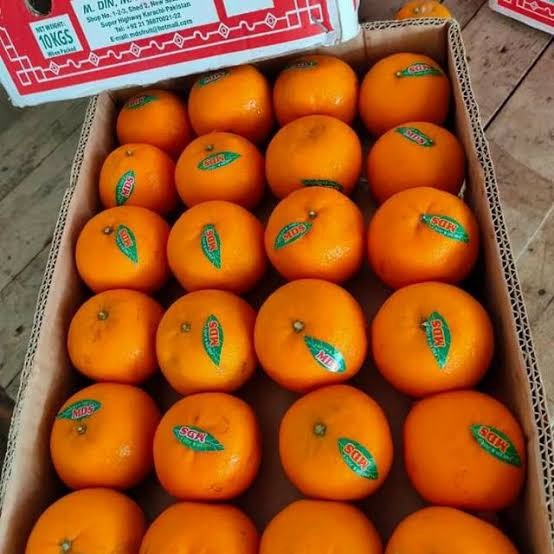 

Lezat- JERUK MANDARIN / JERUK KINO / MANIS SEGAR / BUAH FRESH / 1 KG