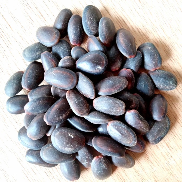 

(GoodSeller) Biji Kedawung 1kg Kedaung Kwalitas Premium