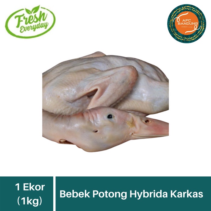 

Lezat- Bebek Potong Hybrida Karkas Hibrida 1 ekor 1kg Frozen