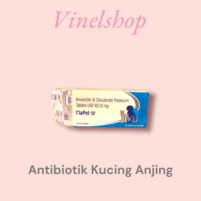 Clapet 50 Antibiotik Tablet Kucing Anjing