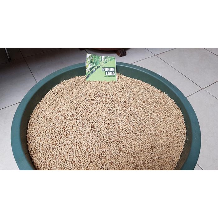 

Lada Putih Bangka Premium 100 gram sudah diling