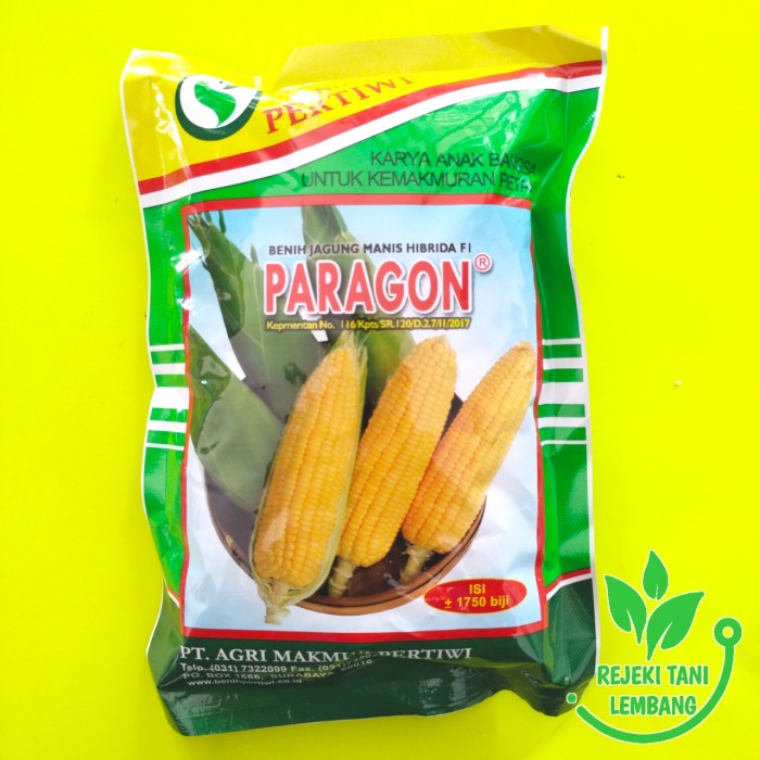 murah- BENIH JAGUNG MANIS PARAGON ISI 1750 BIJI BENIH JAGUNG MANIS HIBRIDA F1