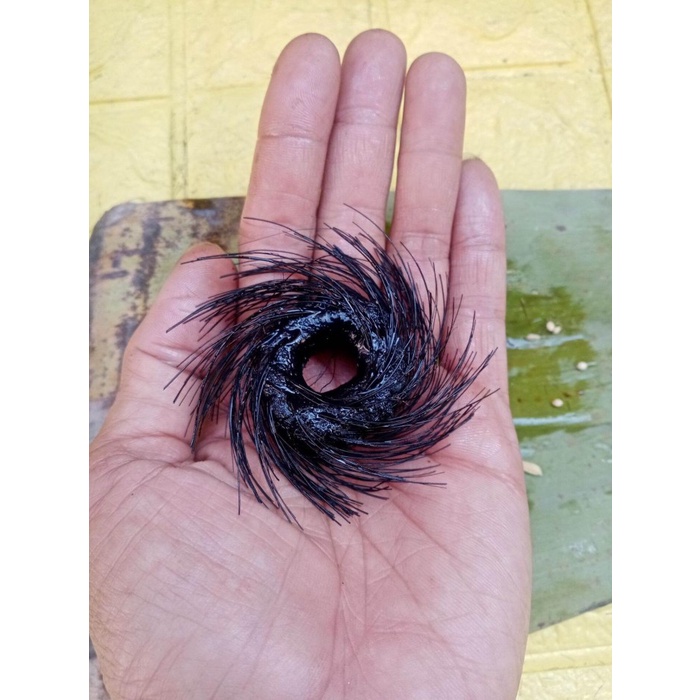 Rantai Babi cincin melar unik