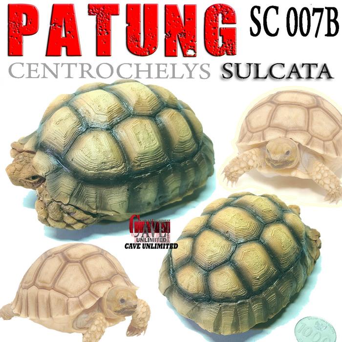 SC007B REPLIKA PATUNG MINIATUR HEWAN TORTOISE SULCATA KURA DARAT TORTO HIASAN AKUARIUM PAJANGAN