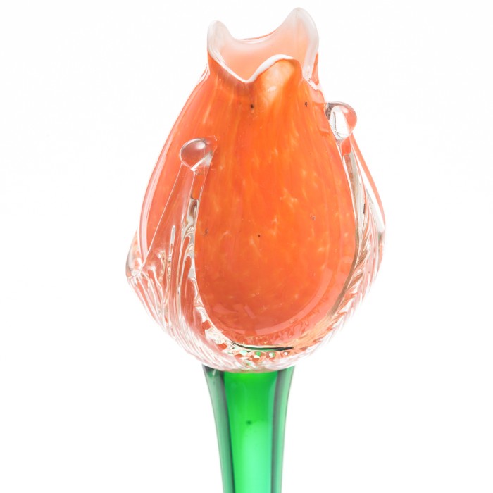 (Expert) Bunga Kristal Tulip
