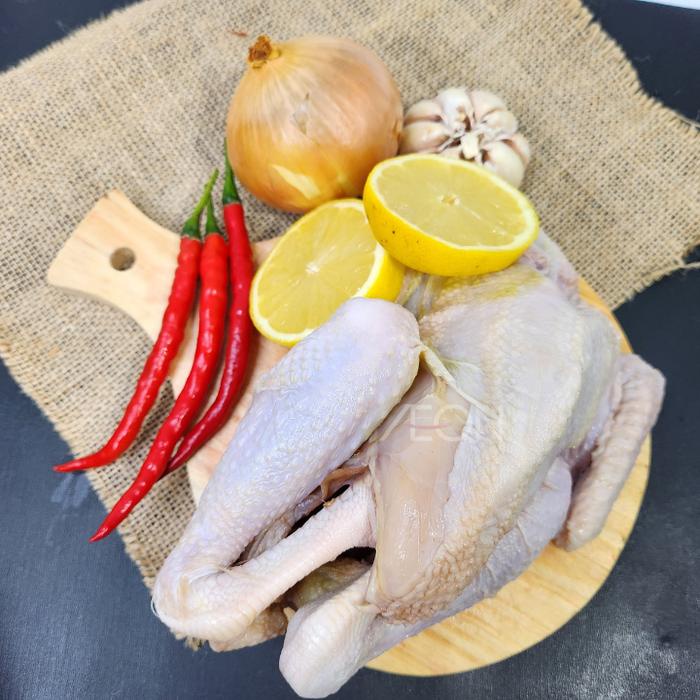 

Ayam Kampung Asli Fresh / Ayam Kampung Utuh 1 Pcs (600-700 Gr)