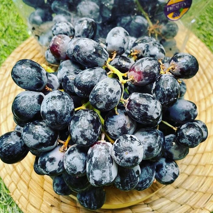 

BisaInstan- Anggur Midnight Beauty / Anggur hitam Tanpa biji / Anggur Manis USA