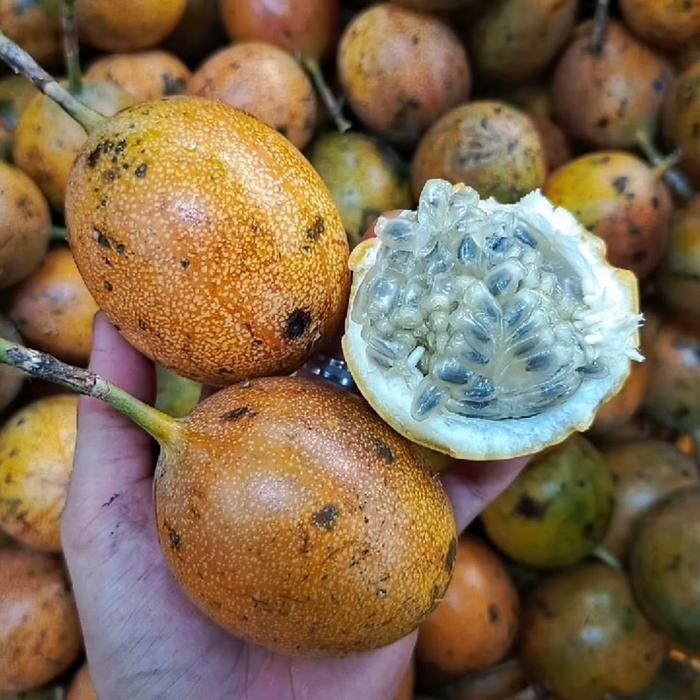BisaInstan- Markisa madu markisa bali madu markisa