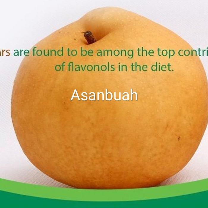 

BisaInstan- Pear singo korea premium / ons asli pir coklat ys sk organic seokwang