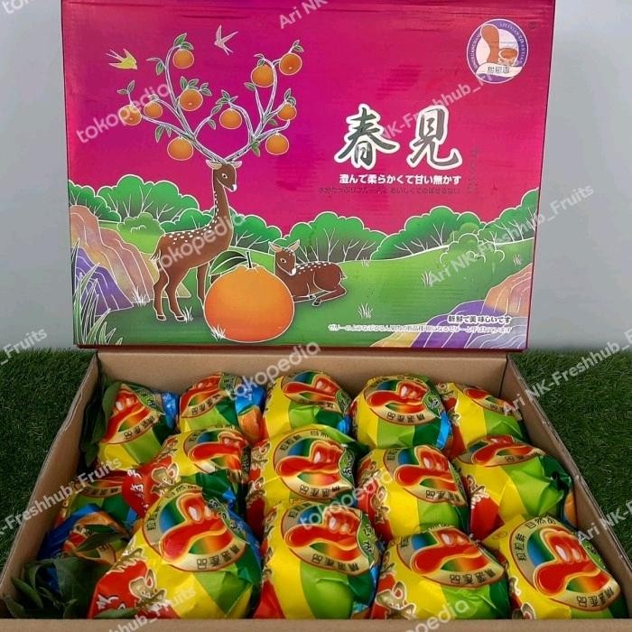 

BisaInstan- Jeruk Chunjian Papagan Dekopon Papakan China Special Gift box 1dus
