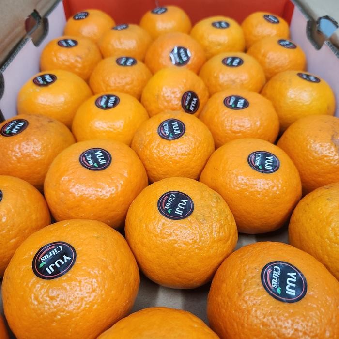 

BisaInstan- Jeruk Mandarin Wokam Wogan Ponkam Manis Import Fresh Segar - 1KG
