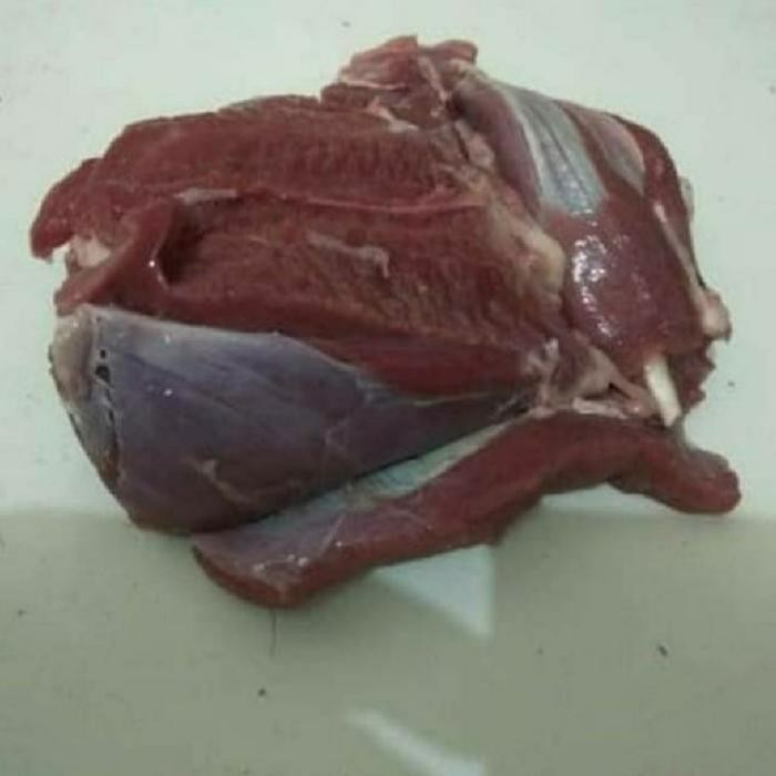 

Kirim,HariYgSama- Daging kambing fresh segar