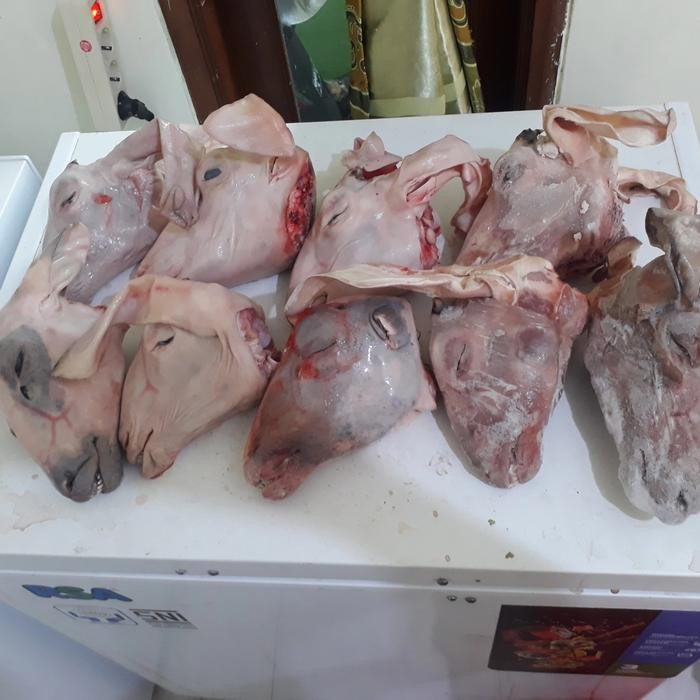 

Kirim,HariYgSama- kepala kambing