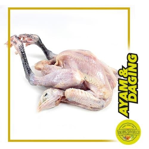 

Kirim,HariYgSama- Ayam Kampung Utuh / ekor