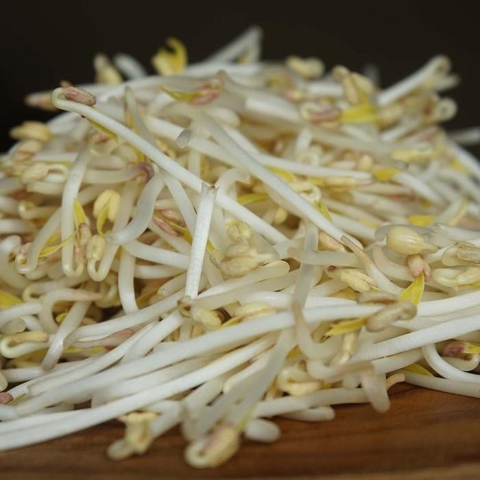 

Tauge Sayur Segar Tauge Kecambah *