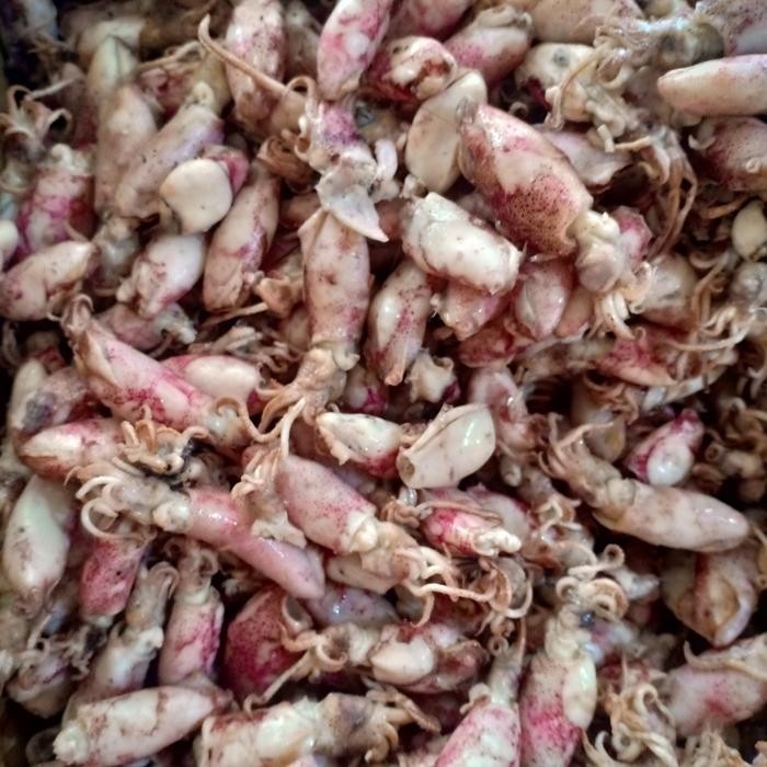 

NewZbgt- ikan asin Baby cumi BK per 500gram