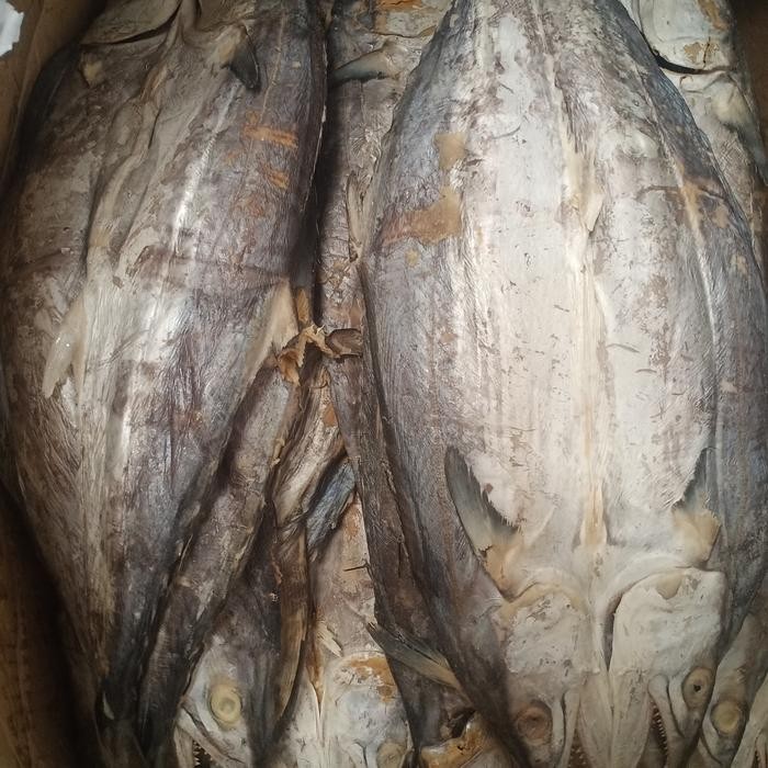 

NewZbgt- Ikan Asin Tenggiri Tanpa Kepala 1 Kg fresh