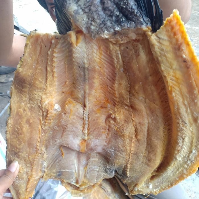 

NewZbgt- ikan asin gabus jumbo per 1kg