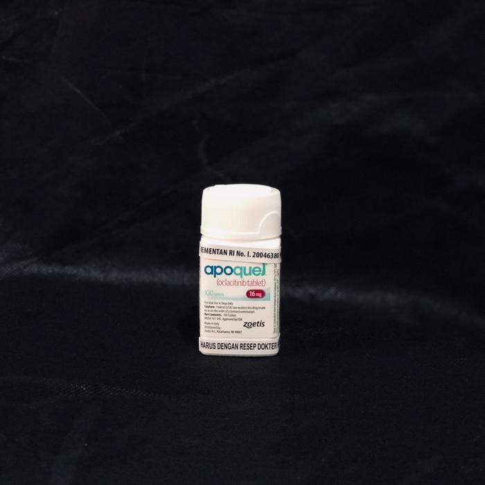 APOQUEL DOG 16 MG (10 TABLET)