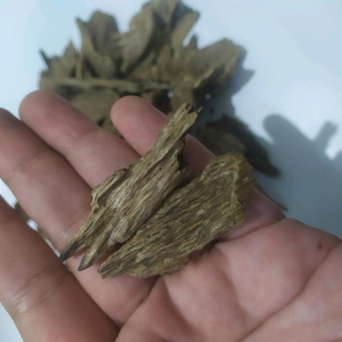 PREMIUM (DISKON TERMURAH) Kayu Gaharu Super Teri Kalimantan Buhur Bukhur Bakhoor Gaharu Asli 1000%