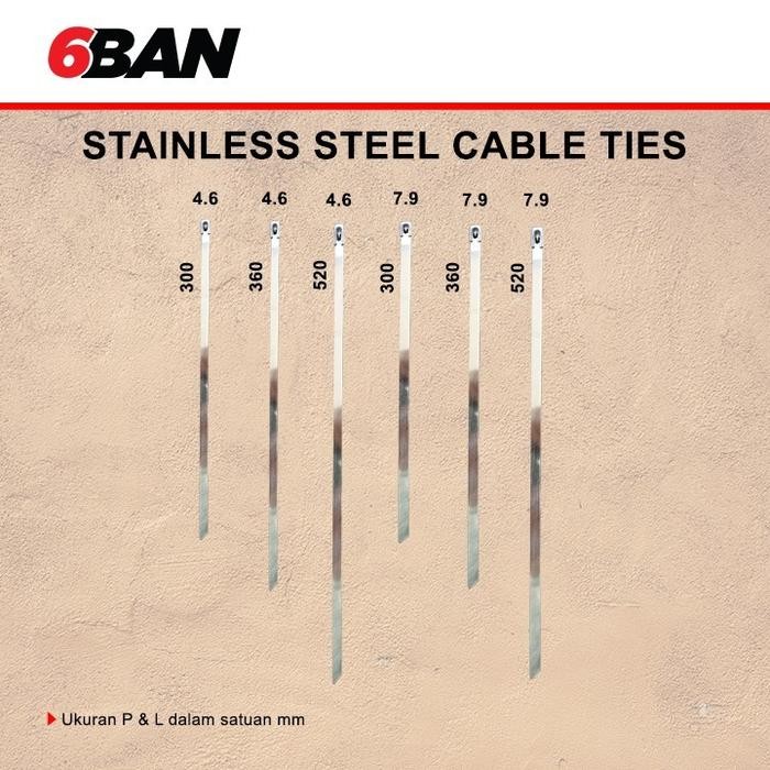 

Stainless Steel Cable Ties