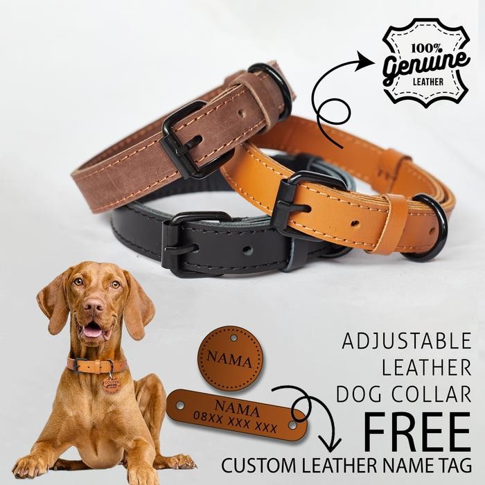 Kalung Anjing Nama - Leather Dog Collar