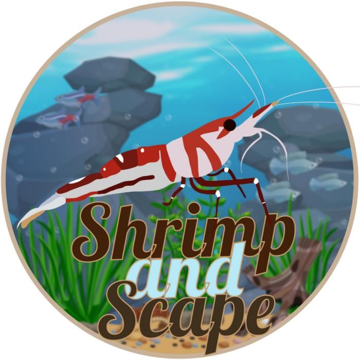 

PRL INDUKKAN + PACKING KORDON + STYROFOAM + ICE GEL PACK