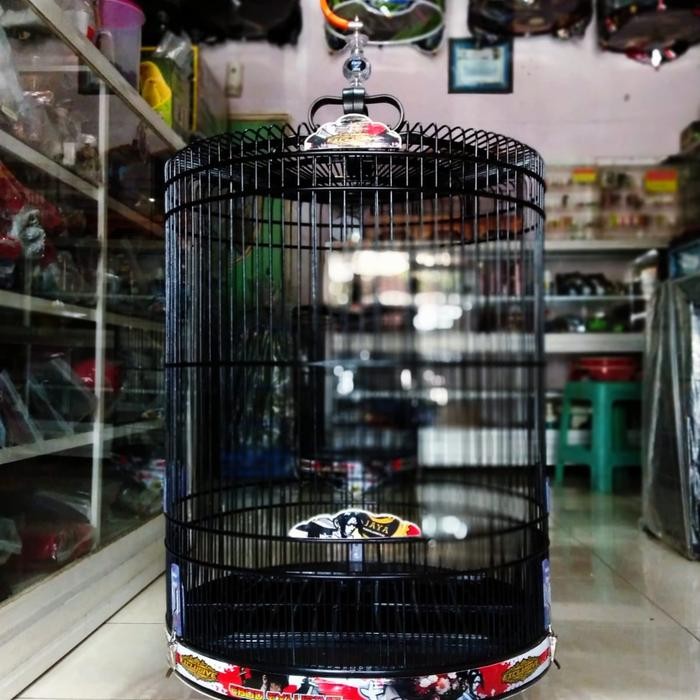 sangkar murai batu ebod jaya decal