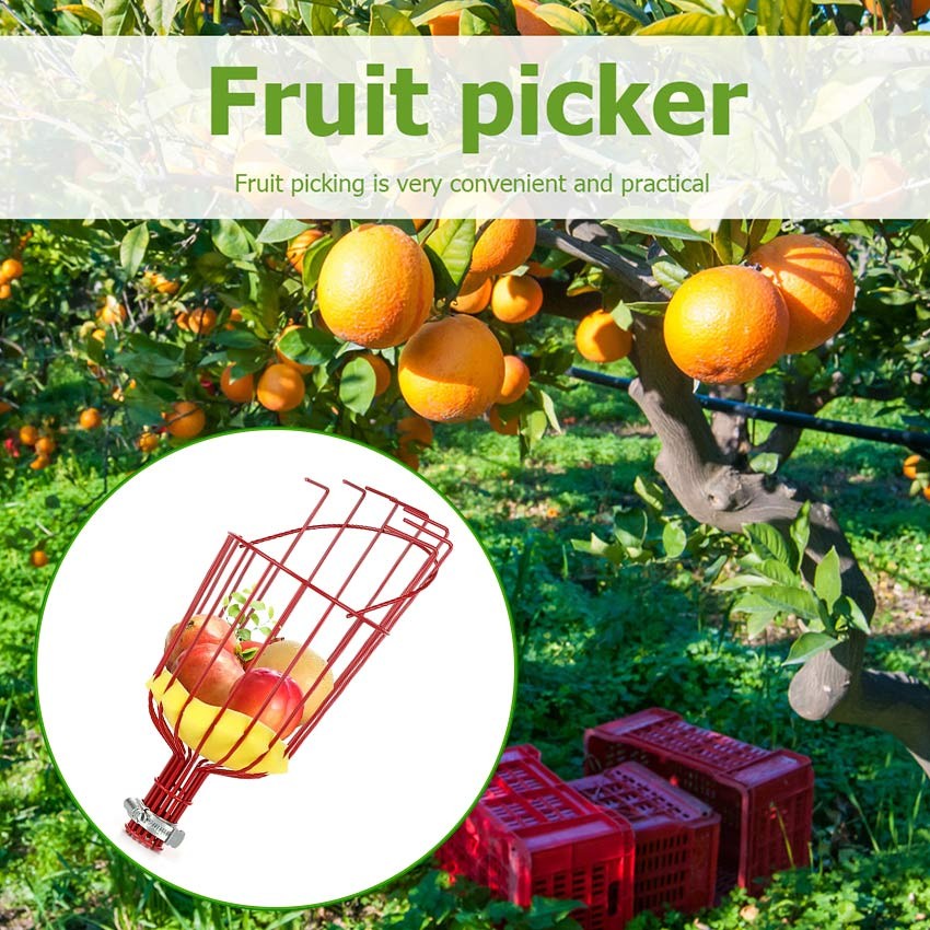 Satu Klik Aja - Alat Pemetik Buah Tinggi Bahan Metal Model Teleskopik Alat Pemetik Buah Jeruk Apple