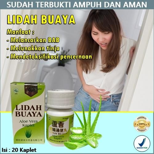 TERBARU Aloe vera kaplet obat melancarkan bab sembelit herbal cina BPOM EX773