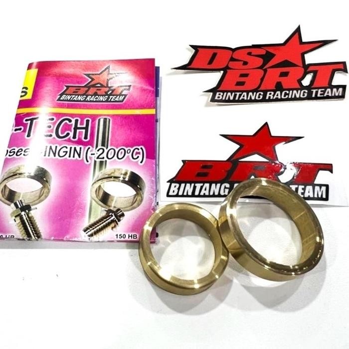 Seating Klep Brt 2 Pcs Nickel Becu Beryllium