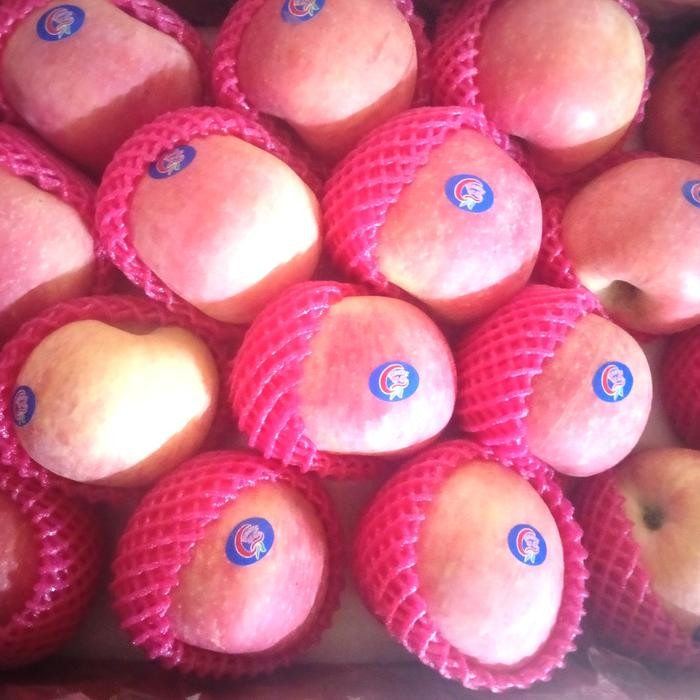 

New apel fuji premium manis banyak air